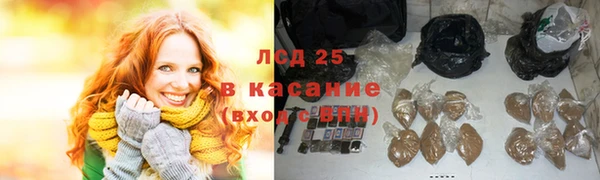 ПСИЛОЦИБИНОВЫЕ ГРИБЫ Богданович