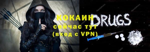 ПСИЛОЦИБИНОВЫЕ ГРИБЫ Богданович
