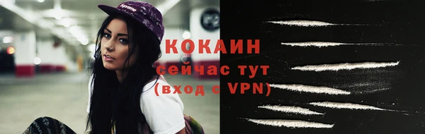 ПСИЛОЦИБИНОВЫЕ ГРИБЫ Богданович