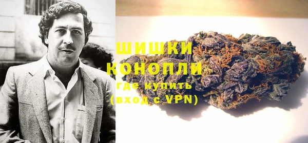 ПСИЛОЦИБИНОВЫЕ ГРИБЫ Богданович