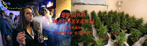 ПСИЛОЦИБИНОВЫЕ ГРИБЫ Богданович