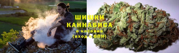 дурь Богородск
