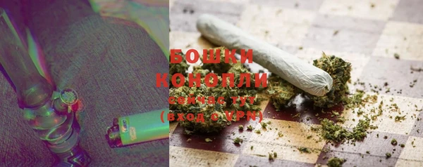 ПСИЛОЦИБИНОВЫЕ ГРИБЫ Богданович